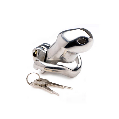 Rikers Stainless Lockng Chastity Cage